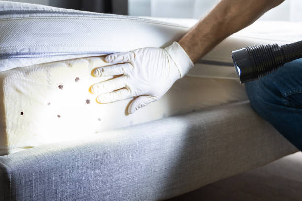 Best Insect Control  in Trappe, PA
