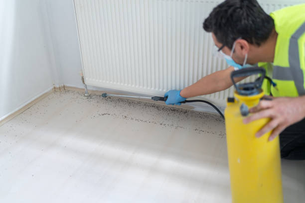 Best Best Pest Control Companies  in Trappe, PA